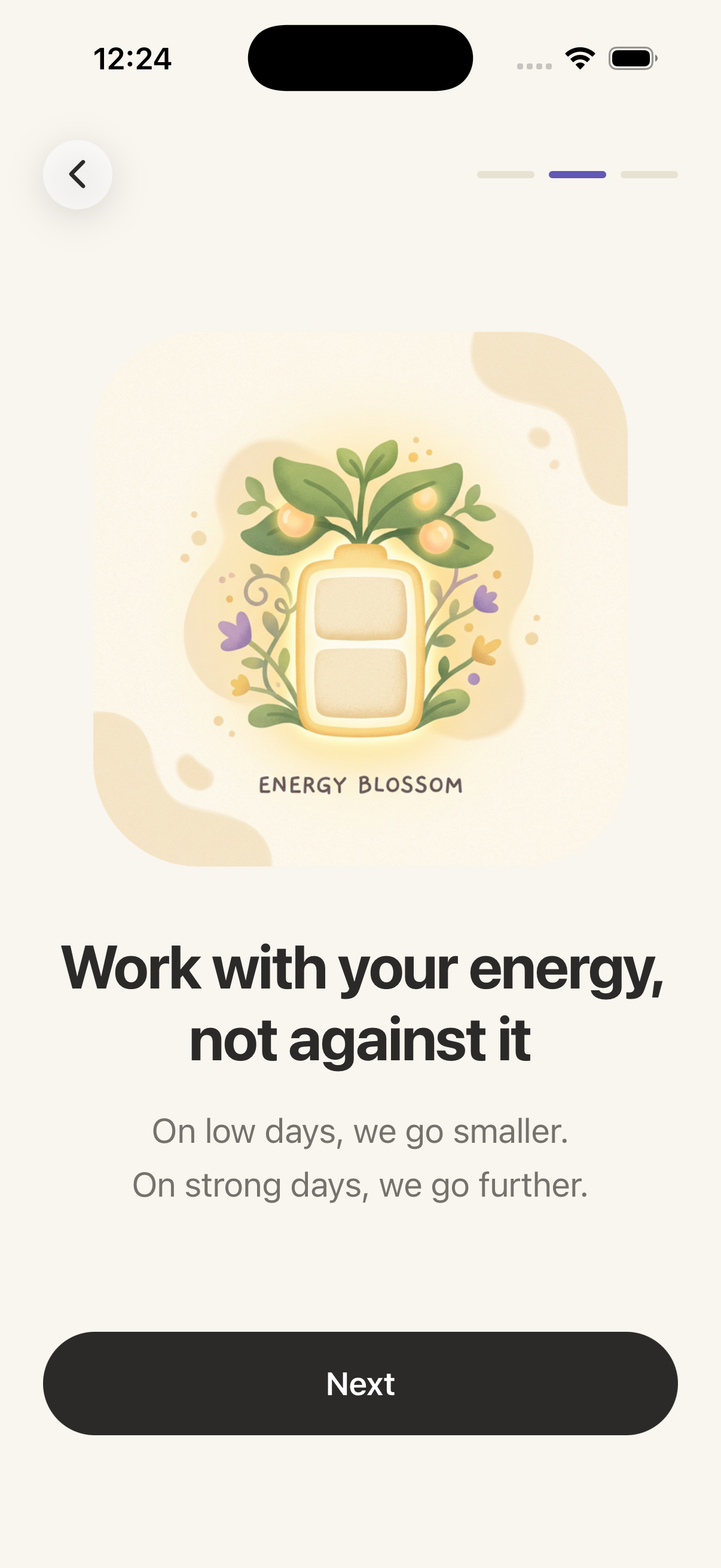 PaceFlo App Screen 1